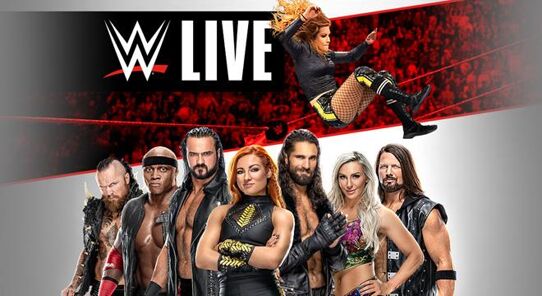 Affiche WWE Live